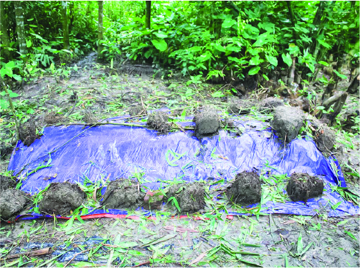 Image of মো. মনির 